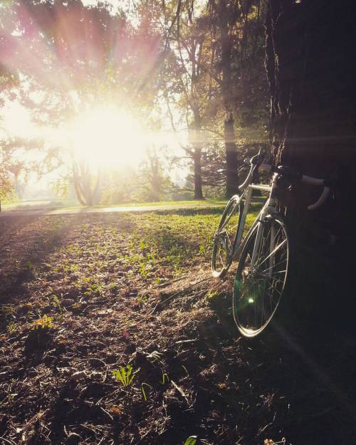 breadwinnercycles: Skillz, drillz, billz. In that order. Some late afternoon cx action before #mfgcx