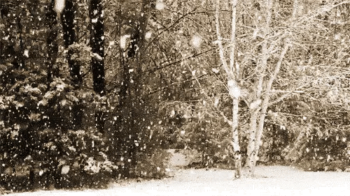 oldfarmhouse:This is ❄️Winter