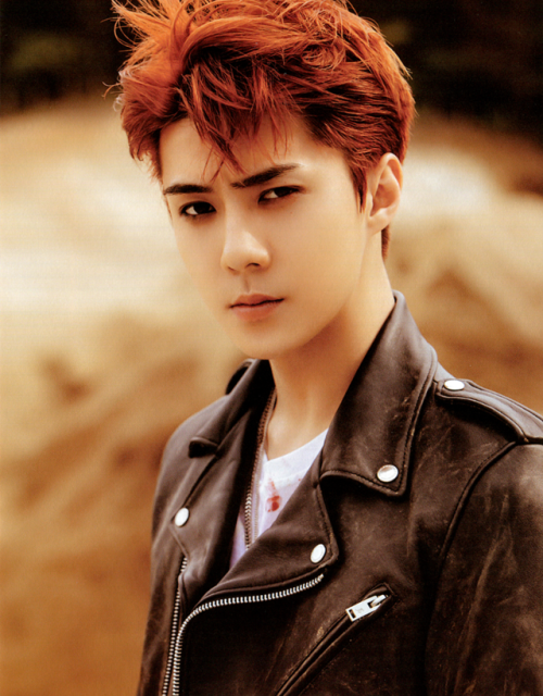 oh sehun – ‘don’t mess up my tempo’ album (moderato ver.)