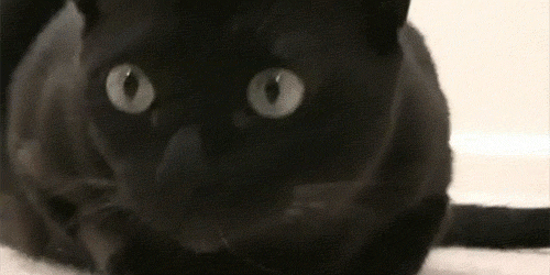 Ah