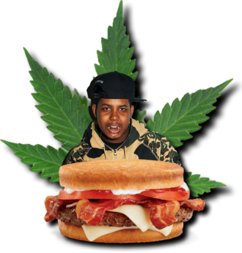 jasper dolphin