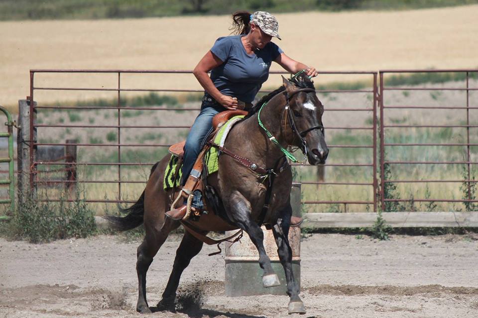 showgirlglitz:  Go Joe Ranger (Iris Joes Laddy x Nambes Best) 