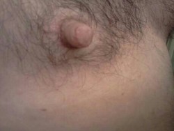 trashmyhole:  my nipples (trashmyhole) are hardwired to my cock and asshole.  hot. Would love to work on them.