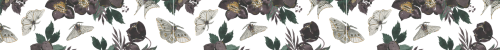 Transparent Dark Cottagecore/fairycore Dividers For You! If You Save/use, I Would Appreciate A Reblog.