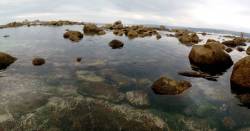 murallamuerta:  Me gustaron las aguas cristalinas de Algarrobo y sus rocas xD!!