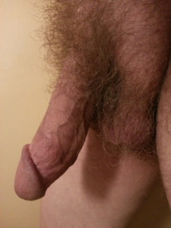 Bestcutmeat: So  Thrilling To Have Your Followers Checking This Dick Out…   Submitted