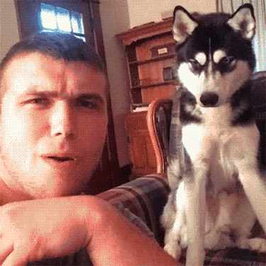 reblog-gif:  other funny gifs — http://gifini.com/  Give me five