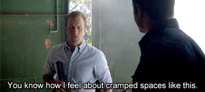 because-b: Steve, we all know you brought Danno there for exactly that purpose. 