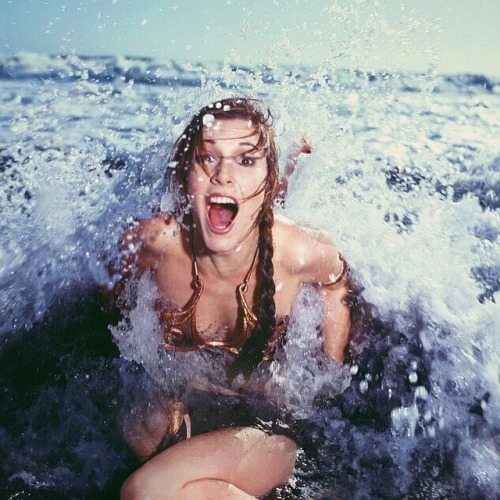 haveahiddles:  andinthemeantimeconsultabook:  2016… what an absolute shit year.  Thank you for your words, your music, your art, your courage - for all that you were. Rest easy, knowing you’ll never be forgotten.  On the bright-side, the In Memoriam