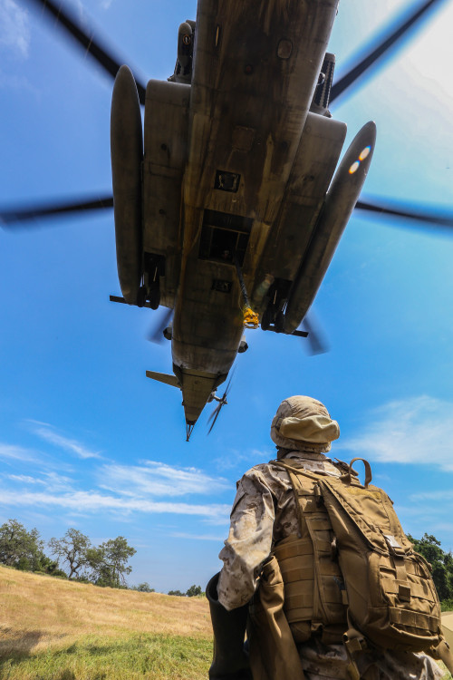 nubbles:U.S. Marine Corps Cpl. Christopher Sundquist with Landing Support Company, Combat Logistics 