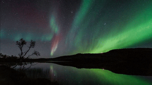 sci-universe:  The planet we live on, with all its natural spectacularity, is probably