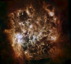 just&ndash;space:  Infrared Portrait of the Large Magellanic Cloud : Cosmic dust clouds ripple across this infrared portrait of our Milky Way’s satellite galaxy, the Large Magellanic Cloud. In fact, the remarkable composite image from the Herschel Space