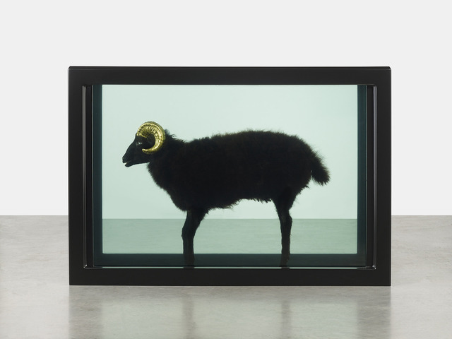 artruby:  Damien Hirst, Black Sheep with Golden Horns (2009) on view Gagosian Gallery