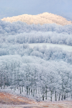 de-preciated:  ILLUMINATION -- Max Patch Mountain, NC (by Light of the Wild) Storm light paints one ridge in sun while the rest of the area stays in the shade. The details in the sky are actually more mountain ridges obscured by a snowstorm. 