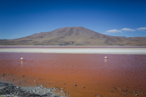 Lago Colorado - Bolivia