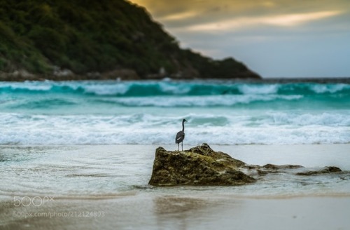 socialfoto:Untitled by 78043cecc46ccbf6e2f09e6e7bb623542 #SocialFoto
