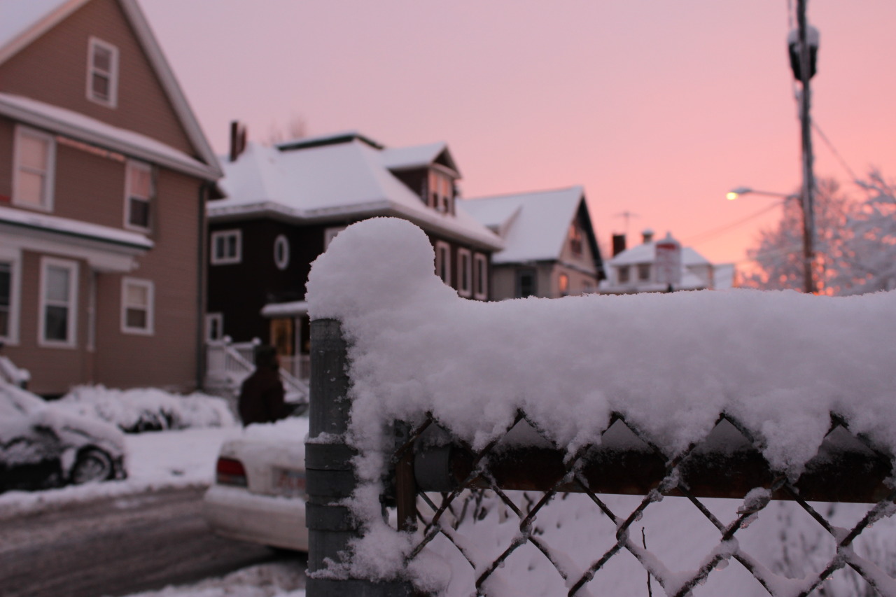 dimitrajoy:  dimitrajoy:  phot journal- 2.5.16 allston, ma  i went outside in socks