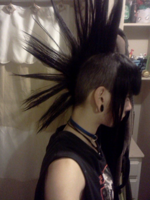 cheap-humanz-oi:  I really miss my hawk… 