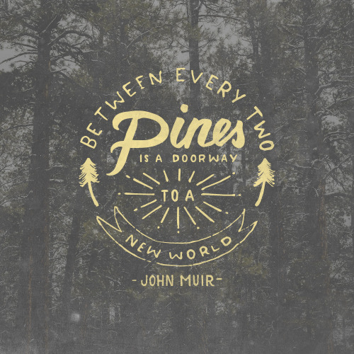 ourlifeintransit:John Muir, what an incredible human being.