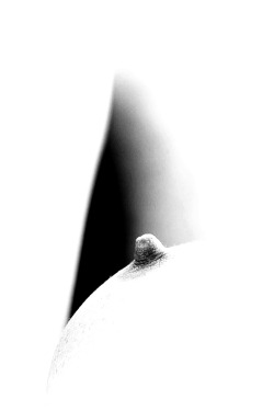 lessthan1000notes:  &lt;1000 notes: today’s theme: details