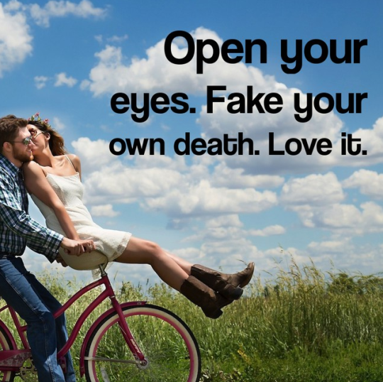 whitesaviorcomplex:  beanpigeon:  thehumorousace:  hawkeyedflame:  its-okae-carly-rae:  flowingblades:  theopjones:  mitigatedchaos:  bunjywunjy:  someone created a random generator that creates randomized inspirational quotes overlaid on random images
