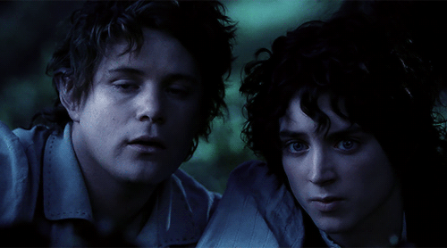 oreliel-from-valinor:I made a promise, Mr Frodo. A promise. “Don’t you leave him Samwise