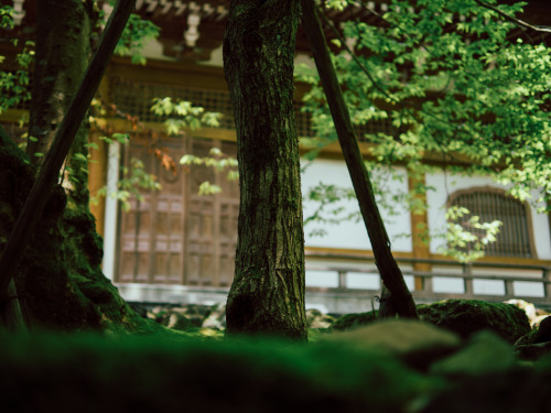 yoheiandoxxx:永平寺