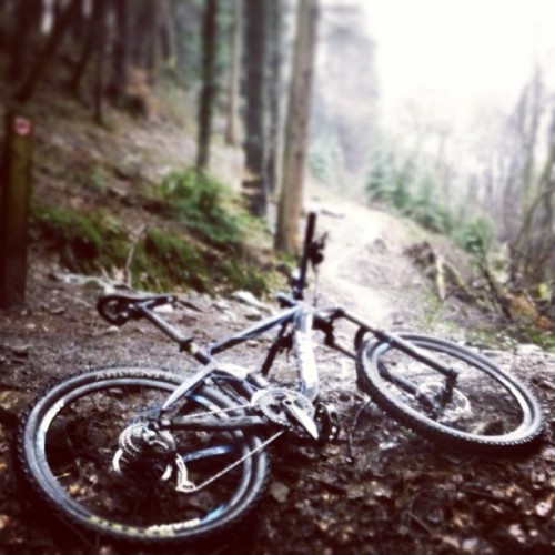 timnorris: Cwmcarn Twrch Trail was surprisingly tough today #cognation #cwmcarn #mtb #mountainbike #