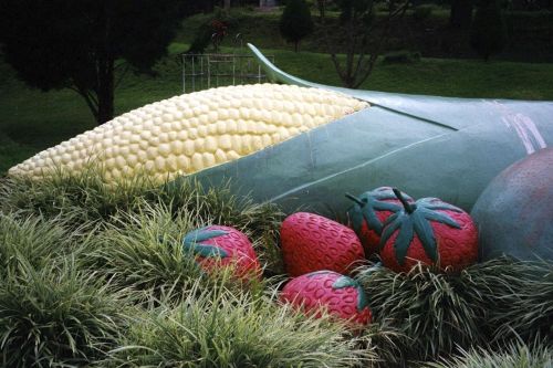 Statue of Maize (Corn) and Strawberries, Tanah Rata, Cameron Highlands, Malaysia, 2000.The corn cob 
