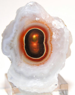 geogallery:  Eye of Fire Agate in Chalcedony