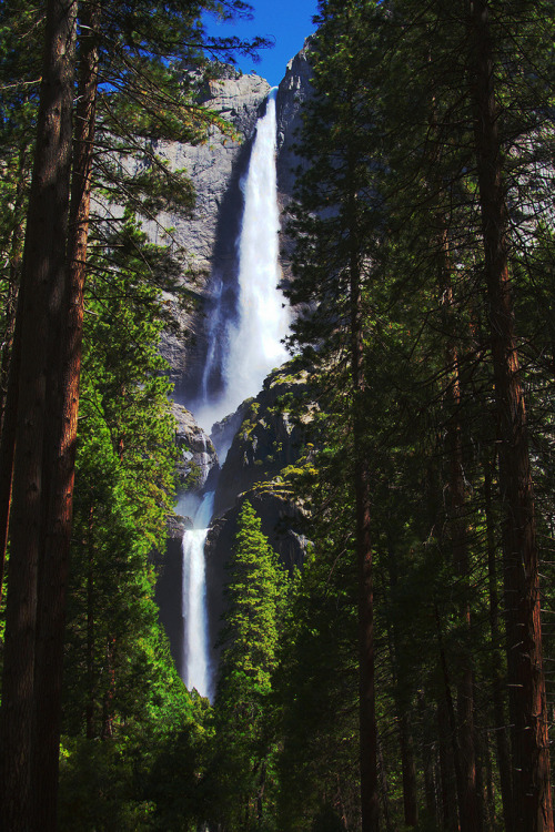 4nimalparty: Yosemite National Park (by banzainetsurfer)