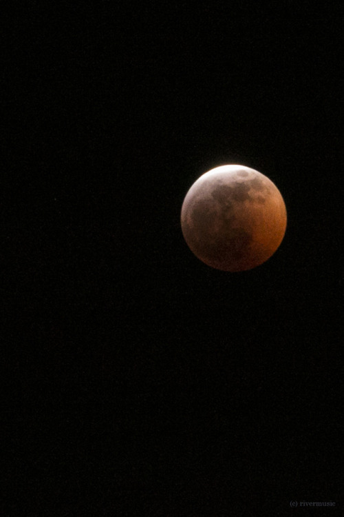 The Super Blood Wolf Moon Of 2019. Grainy Shots, But Wow, Gorgeous To Watch This Unfold.