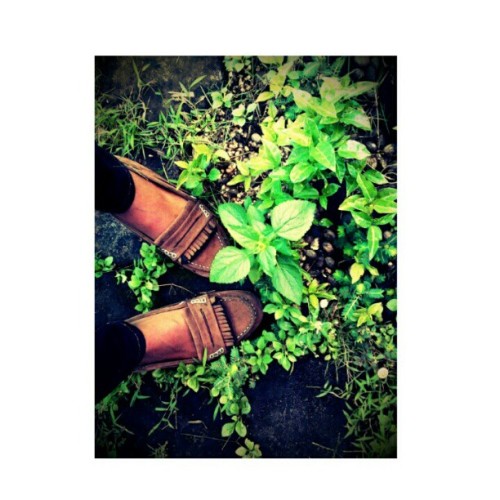 #shoes #flats #suede #instafashion #photooftheday - @anaskaha- #webstagram