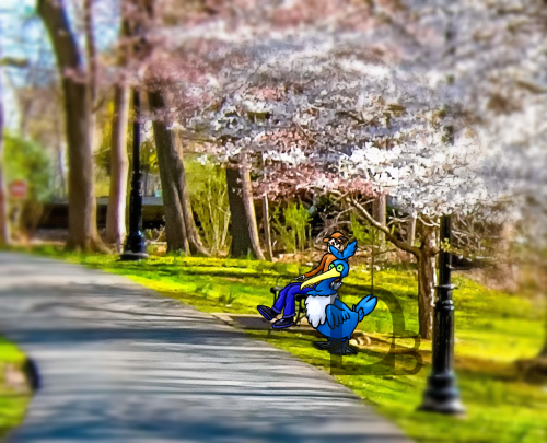 A picture of a bench in a park, with a Pokemon Trainer and a Cramorant drawn into it. The Cramorant is partially obscuring its trainer's face, leaving most of his face obscured, but his orange shirt and blue jeans are most visible. The edges of the image are out of focus.