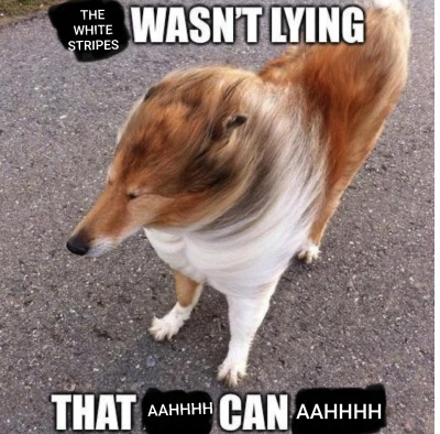 thepresidentisnude:nudityandnerdery:The White Stripes sure were right when they sang,