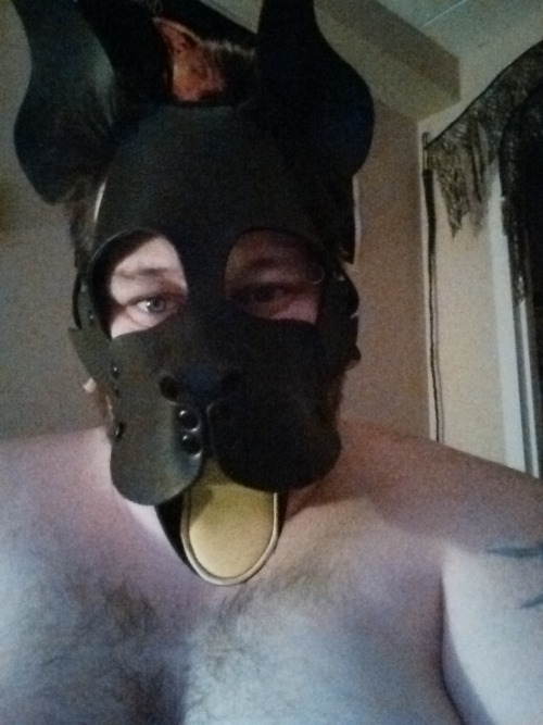 Sexy Pup :D