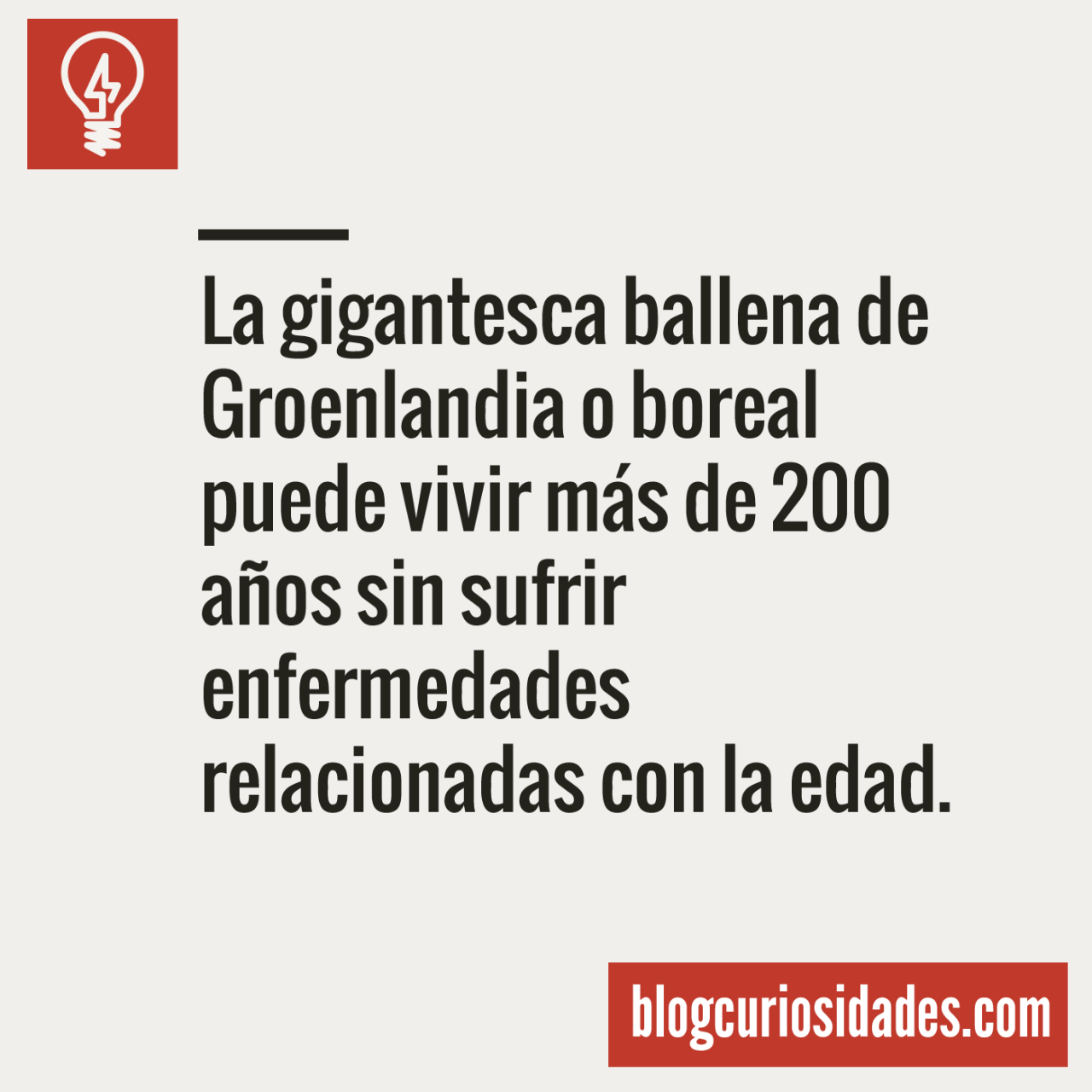 curiosidads:  Blog CuriosidadesFacebook || Twitter