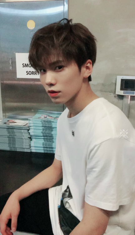 kpop-locks:  rocky ; bf material 🐕like/reblog | @chitaphwn