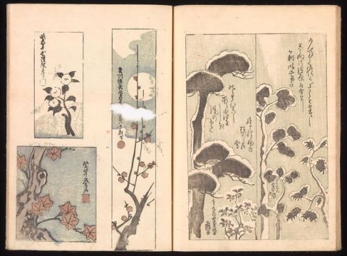 heaveninawildflower:Images taken from ‘Ink Traces of Kenzan’ (1823) by Sakai Hōitsu (Japanese, 1761–