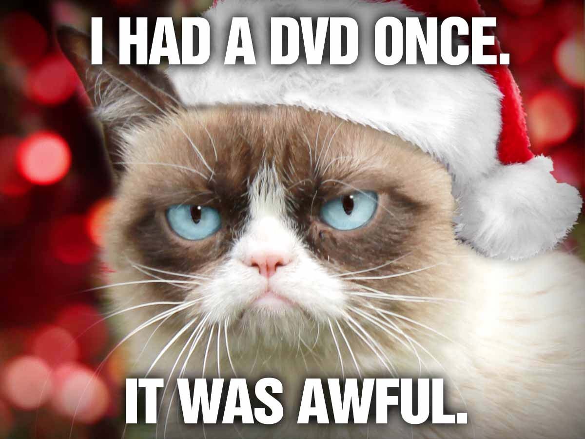 Give the gift that keeps disappointing all year long. Grumpy Cat's Worst Christmas Ever on DVD now! https://t.co/eGKVgS2ChU