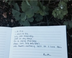 punkvp:  I don’t like how people think my poem is about suicide. I really don’t at all. It’s not, it’s about dying of old age when most of your family is gone and you can’t wait to be reunited with them. It’s not suppose to be sad, it’s