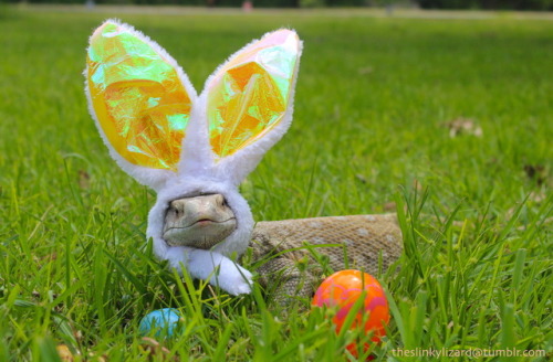 Happy Easter Everyone!