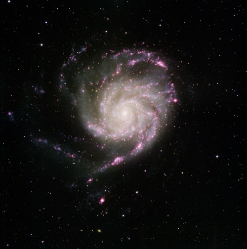 M101 - Pinwheel Galaxy Various Views