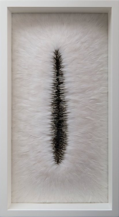 gothiccharmschool:pangur-and-grim:ex0skeletal:Feather Sculptures by Kate MccGwireokay, looks like I&