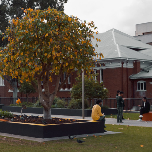 Northbridge, Western Australia.