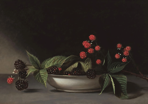 clawmarks:Blackberries - Raphaelle Peale - c.1813 - via FAMSF