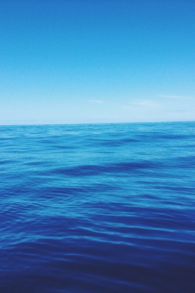 wolverxne:  Ocean was pretty awesome yesterday
