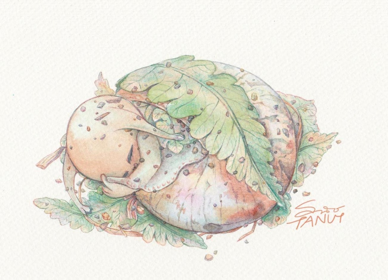水彩植物 Tumblr Posts Tumbral Com 水彩植物 Tumblr Posts Tumbral Com