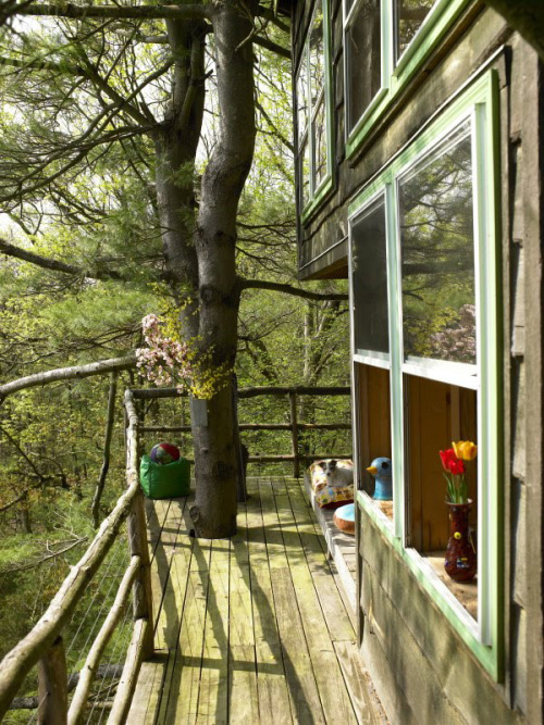 treehauslove:  Treehouse of Dreams. A treehouse with a balcony built sixty-feet up in a white pine by American designer Todd Oldham. It is fun bright and full of handmade items. Located in Pennsylvania. 