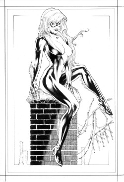 comicbookwomen:  Black Cat-Michael Bair